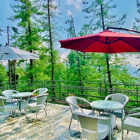 Valley View Resort Mashobra - Best Holiday Home For Vacations 西姆拉 外观 照片