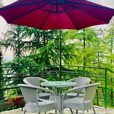 Valley View Resort Mashobra - Best Holiday Home For Vacations 西姆拉 外观 照片
