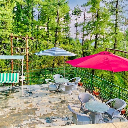 Valley View Resort Mashobra - Best Holiday Home For Vacations 西姆拉 外观 照片