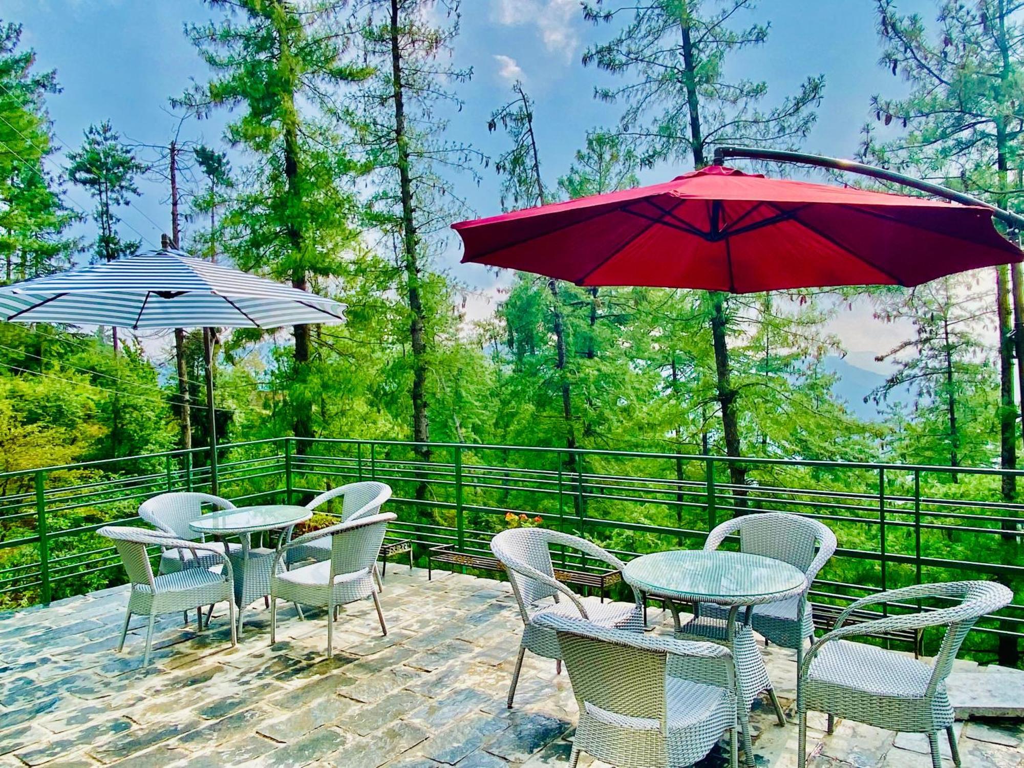 Valley View Resort Mashobra - Best Holiday Home For Vacations 西姆拉 外观 照片