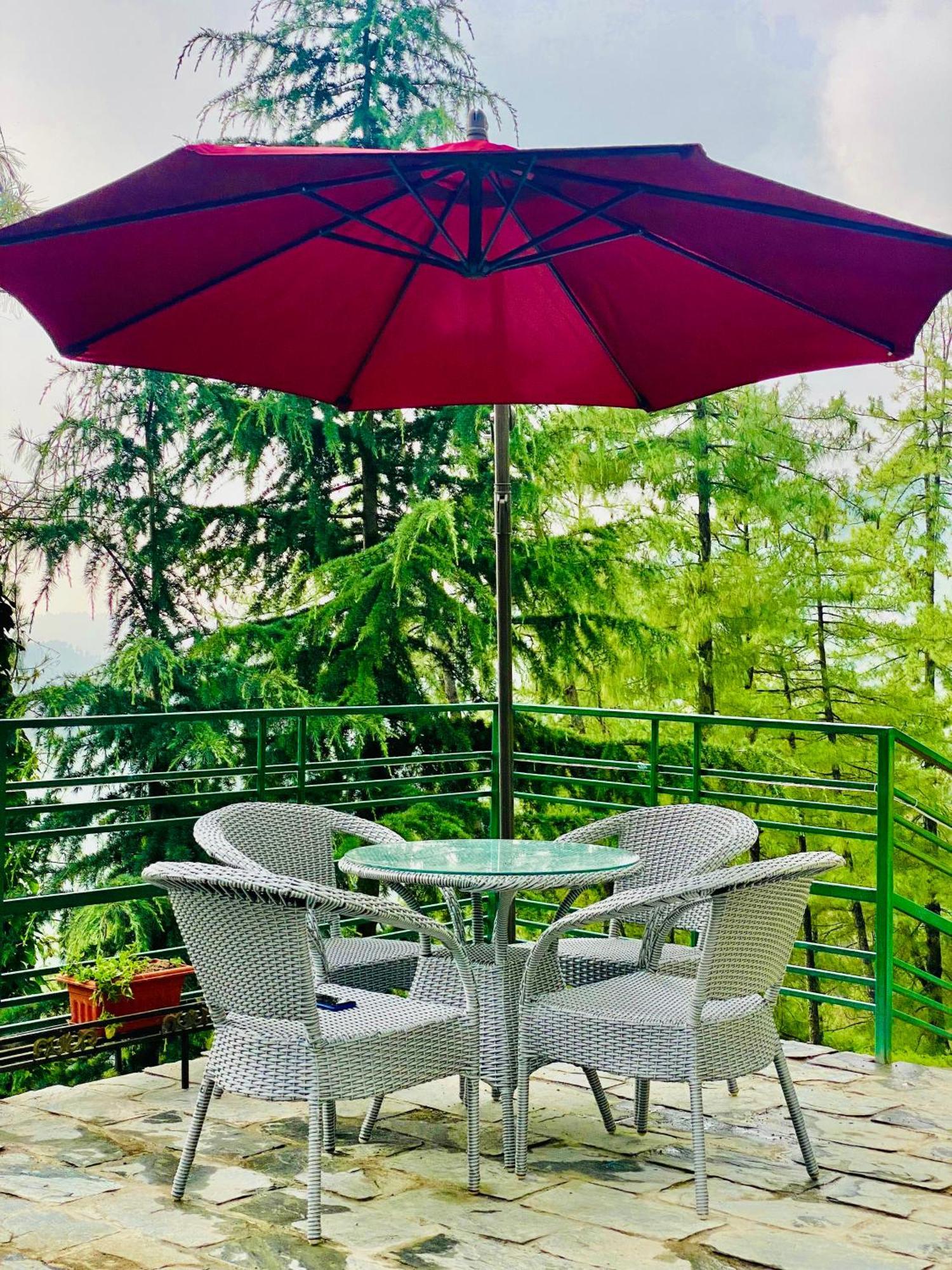 Valley View Resort Mashobra - Best Holiday Home For Vacations 西姆拉 外观 照片