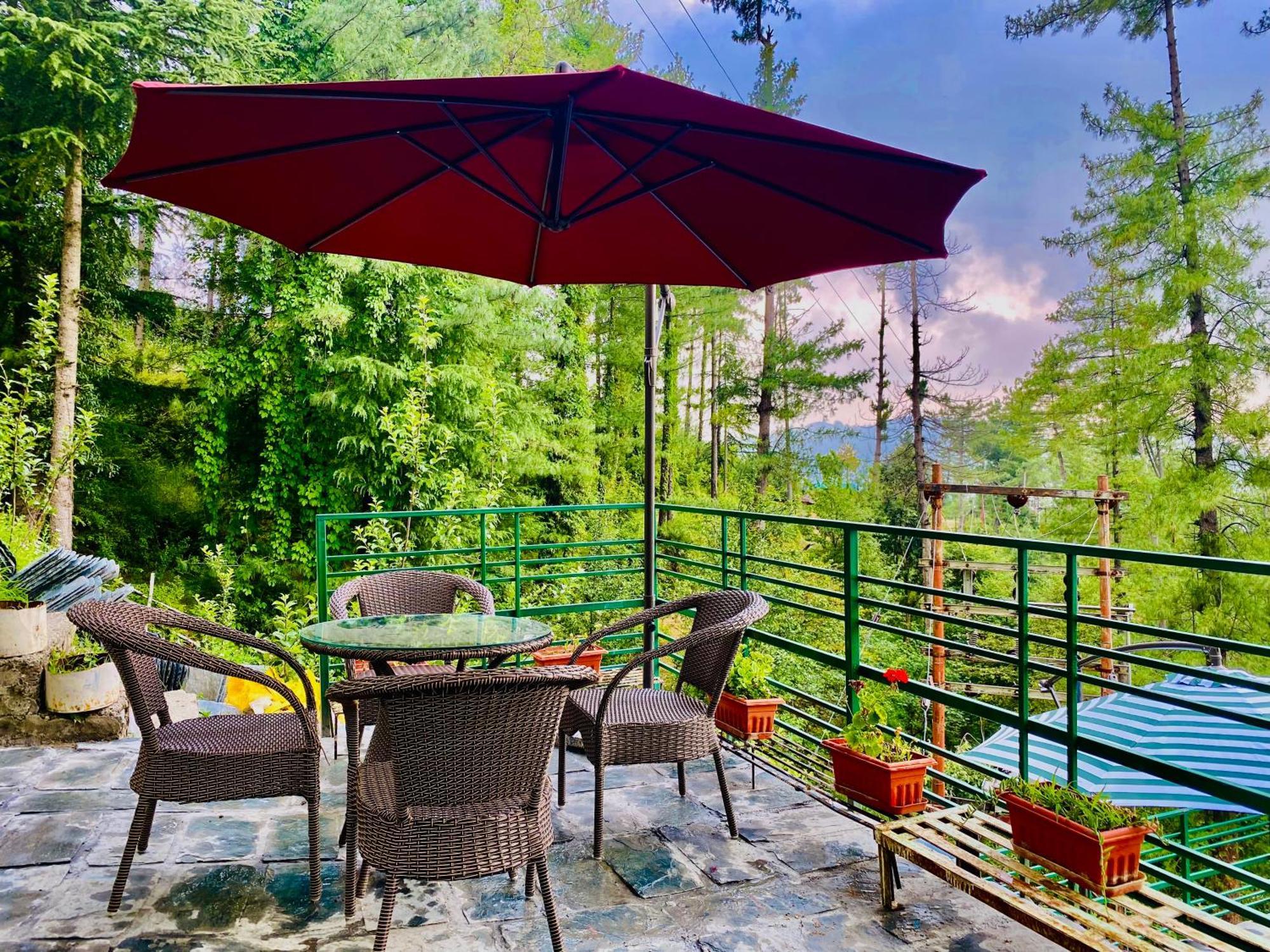 Valley View Resort Mashobra - Best Holiday Home For Vacations 西姆拉 外观 照片